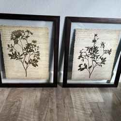 Set Of 2 Large Framed Botanical Wall Art Prints 