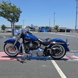 Harley Davidson Softails For Sale