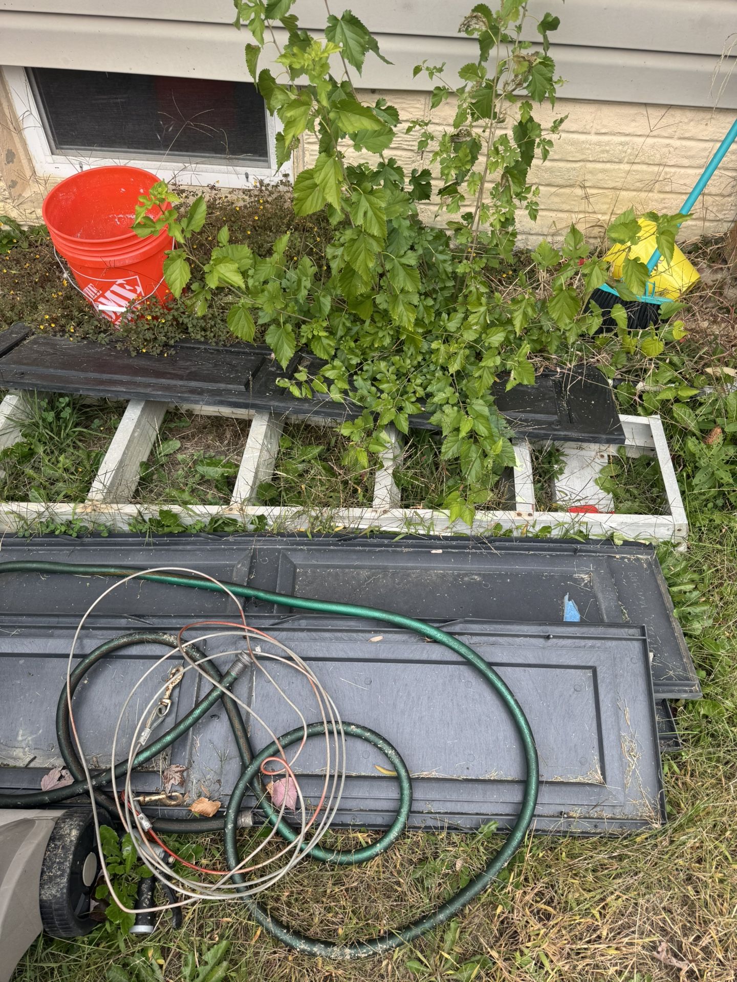 Ladder, Bricks and pieces of wood for free