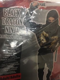 Dragon ninja