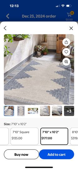 In,out Door Rug