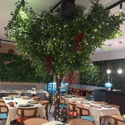 PCWLH Ficus Tree Replica - Lifelike, Tall Green Artificial Plant | Indoor Home, Restaurants Decor