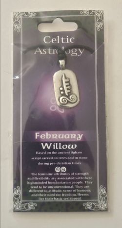 Irish Pewter Celtic Astrology Pendant - February Aquarius