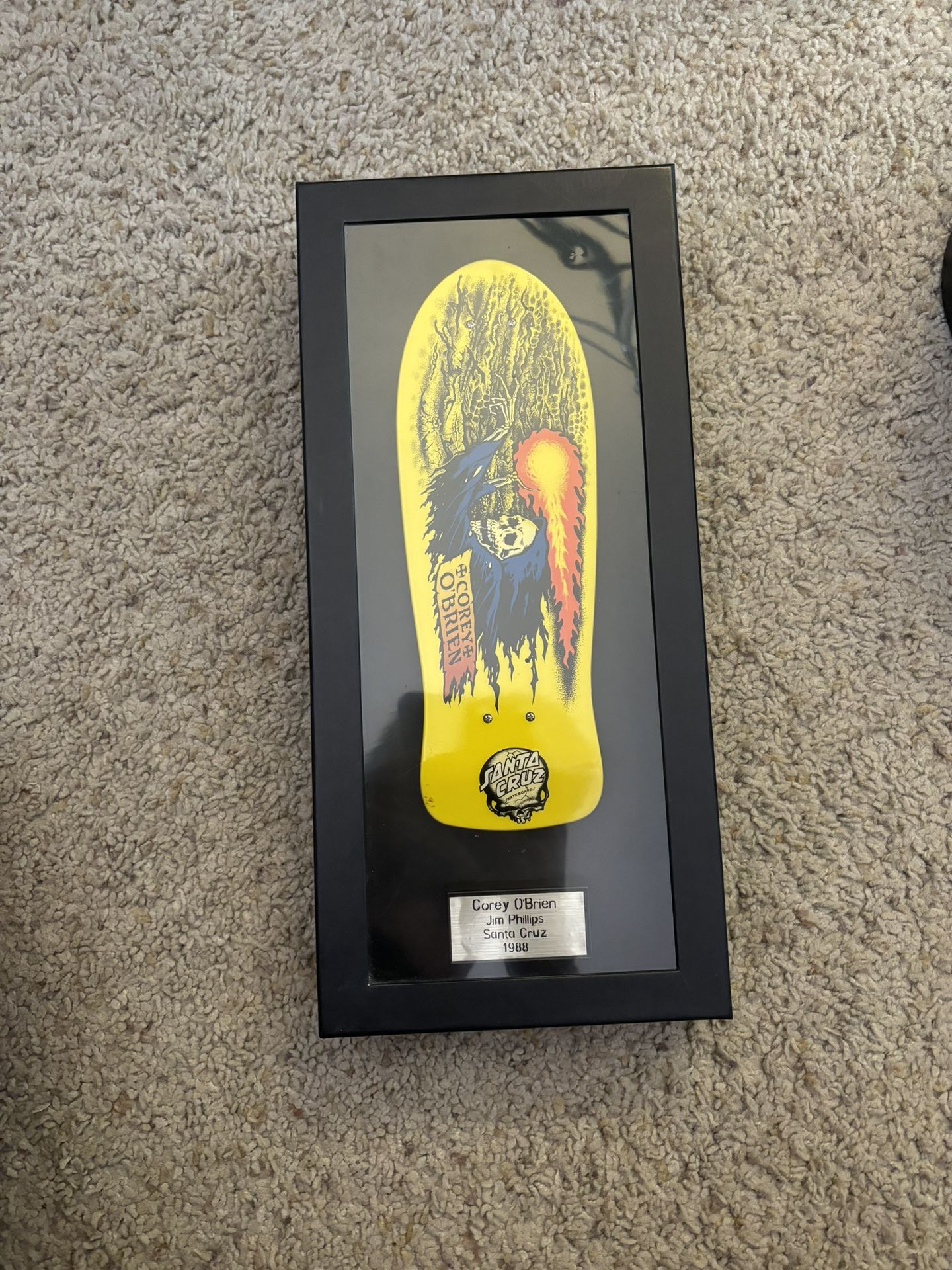 santa cruz tech deck display