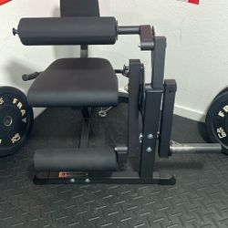 Leg Extension 