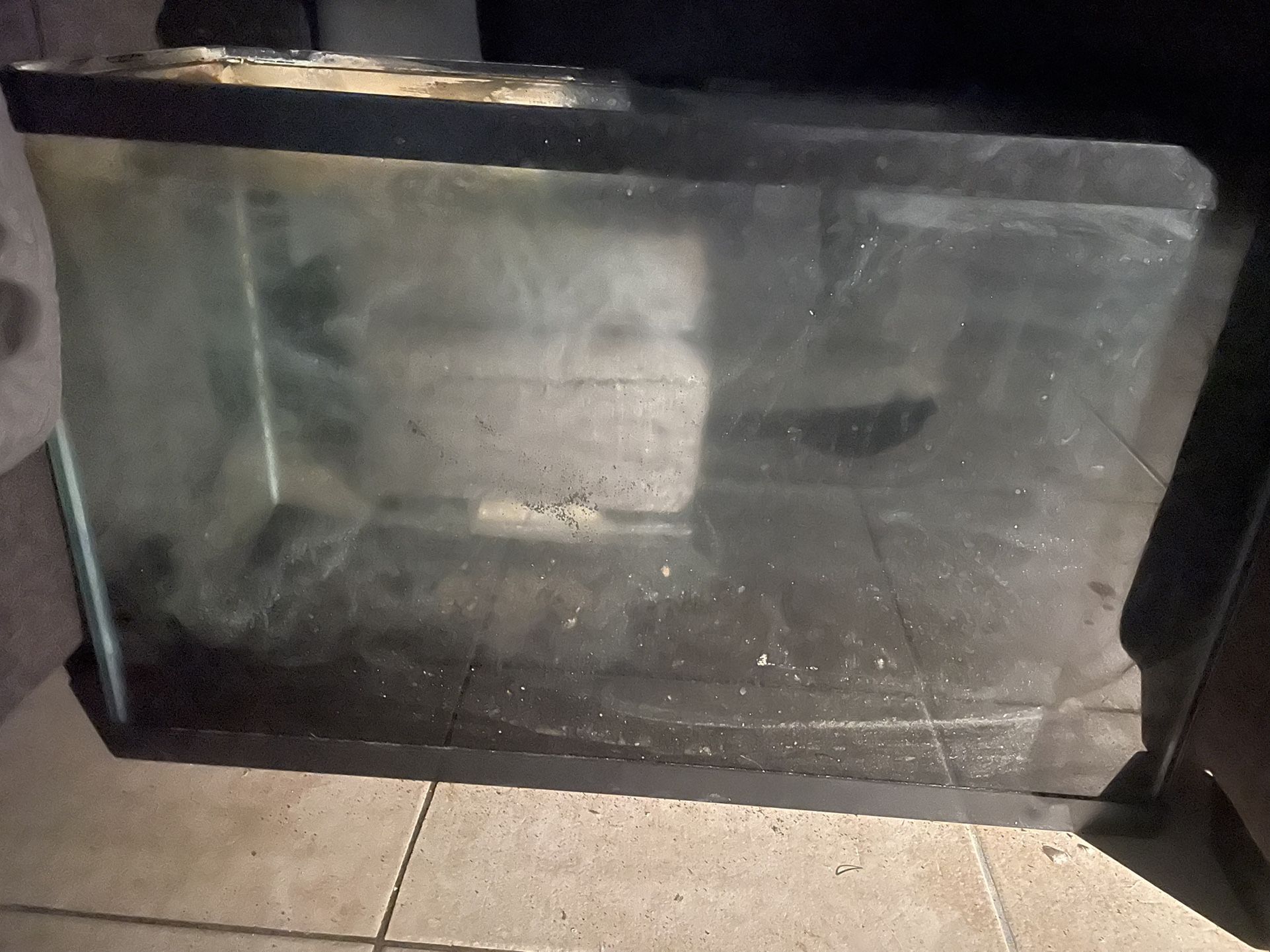 Fish Tank