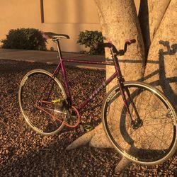 2025 55cm Weapon Track Frame Bmx 