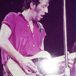 Bruce Springsteen Photo & Postcard 