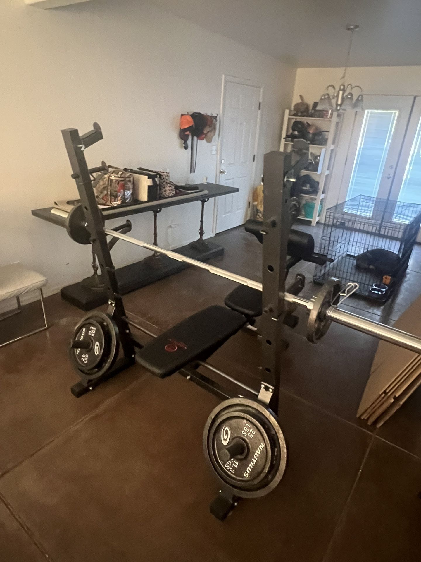 Weight Bench, With Squat Rack And Curl Bench And Leg Extensions
