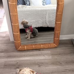 Boho Rattan Arch Mirror – Large Wall / Floor Mirror