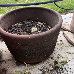 Big Planter With Soil gerumluem flower