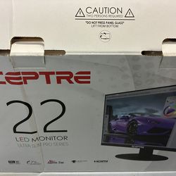 22” Full HD HDMI Monitor