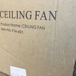Ceiling Fan Light
