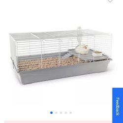 Full Cheeks™ Easy Build Spacious Home