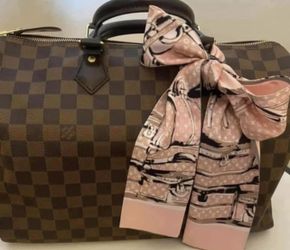 Louis Vuitton Speedy 35