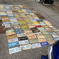Liceance Plate Collection