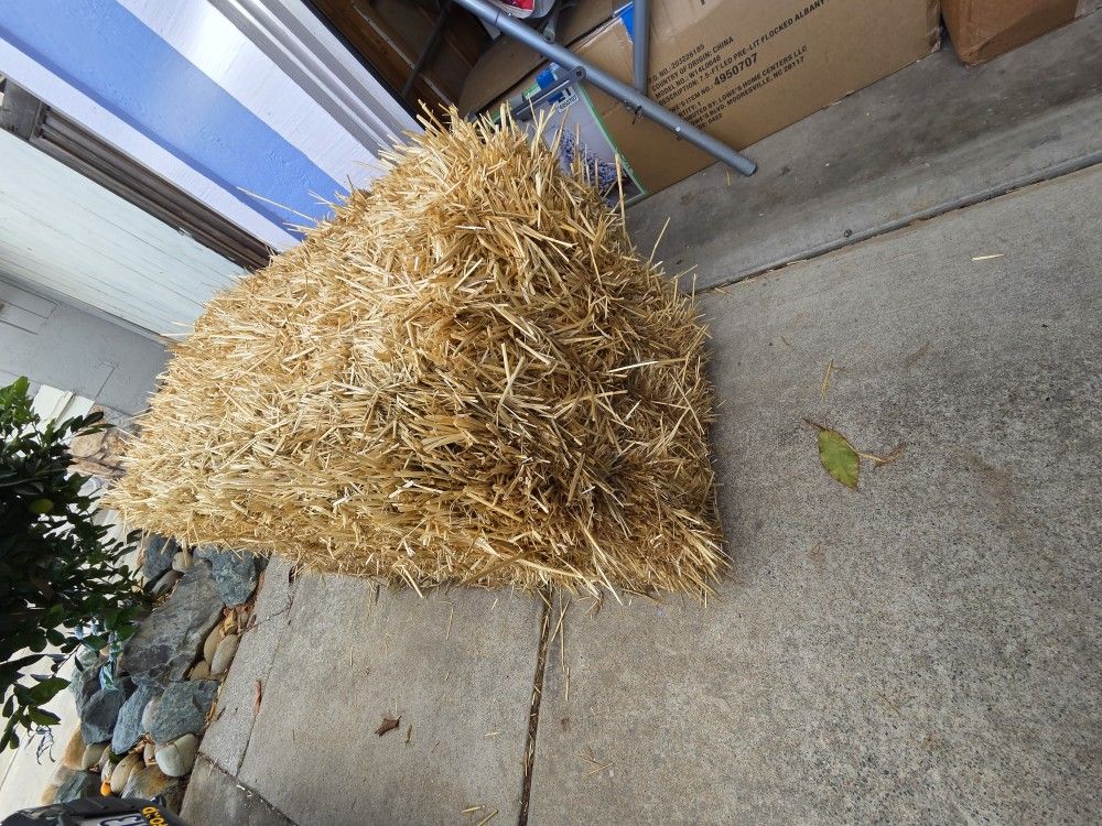 2 XL Bails Of Hay $5  EachGreat For Halloween Decoration 4X2 Feet Cubes