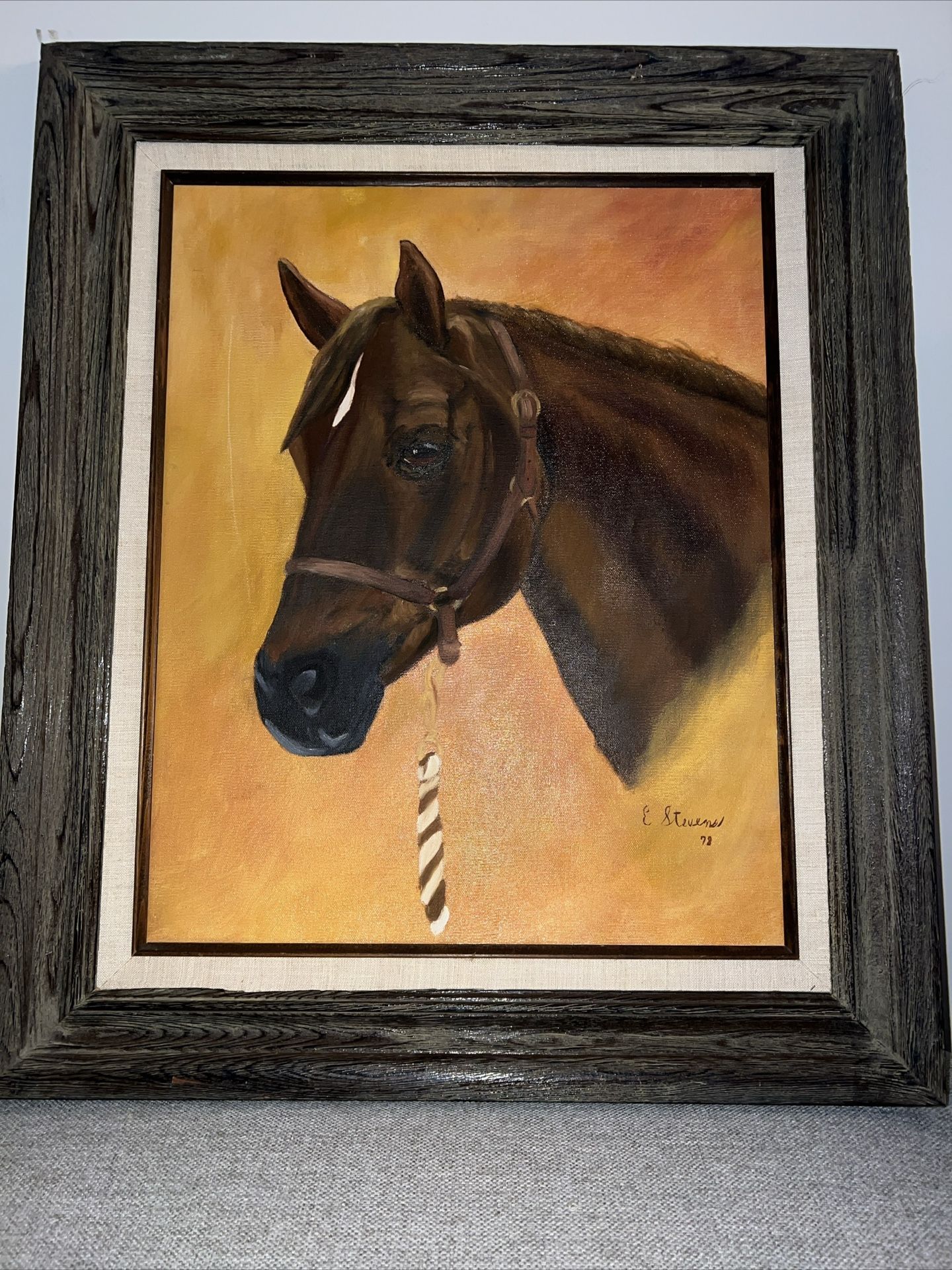 Horse Portrait Framed Equestrian Art 1978 Signed E.S. With Frame Made In Mexico