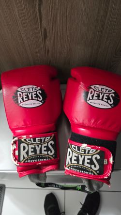 Training  Boxing Gloves