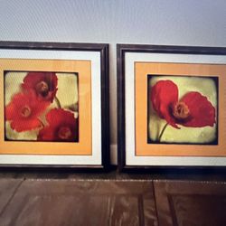 2 Large Framed, Poppy Flower Art Prints
