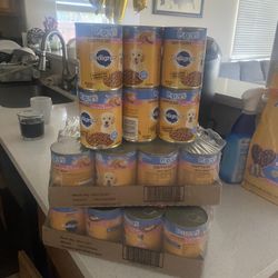 Puppy Food