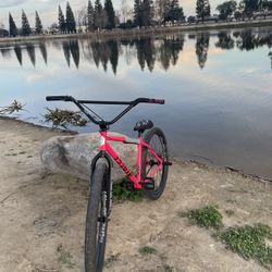 Pink Street Co 29er