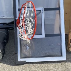 Lifetime Basketball Hoop