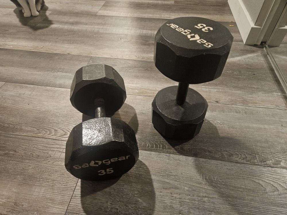 30 Lb Dumbells (2)