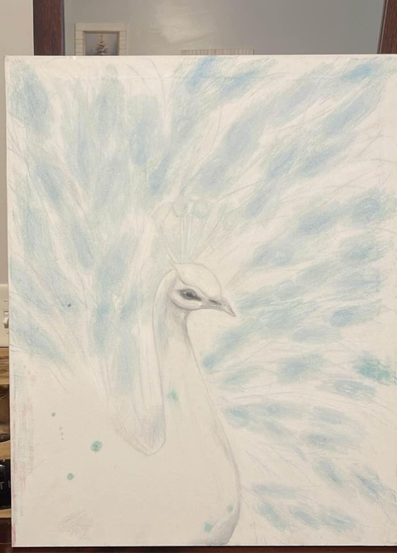 Hand drawn Peacock Canvas