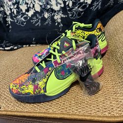 Nike LeBron XXII 22  BRAND NEW