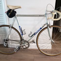 Silver Atala Road Bike