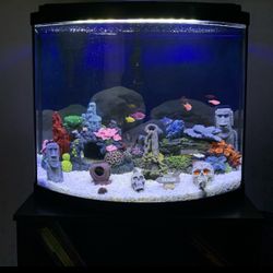 36 Gallon Aquarium 