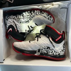 Nike LeBron 17 graffiti size 10