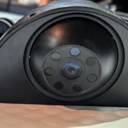 Back Up Camera 