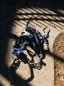 Body harness plus extra accessories