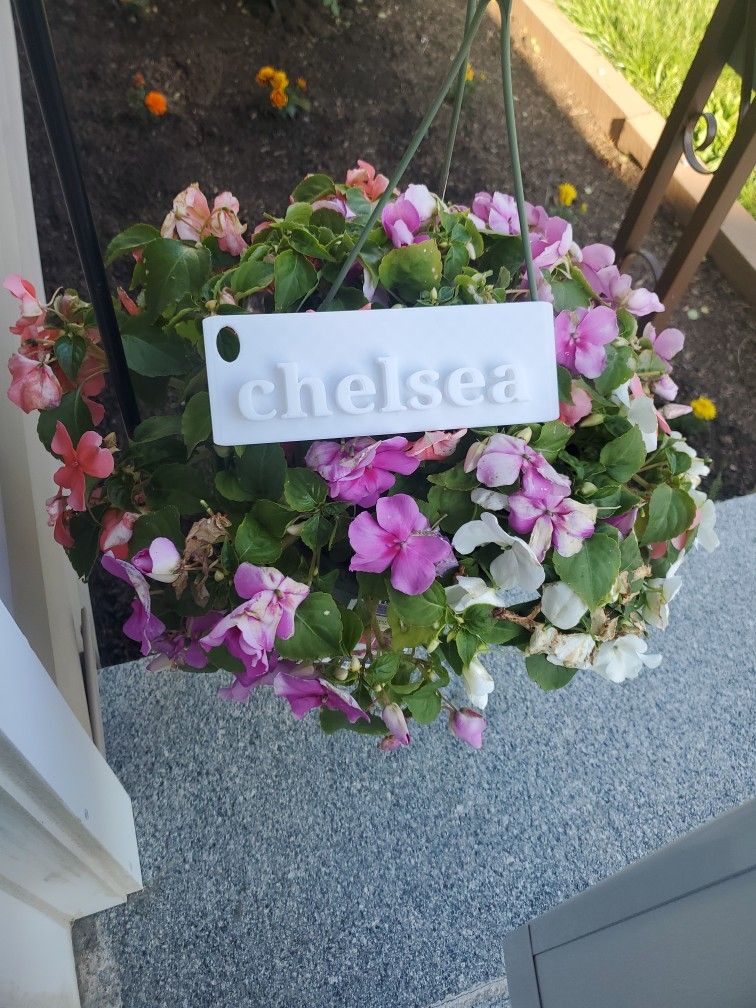 3D Printed Chelsea Name