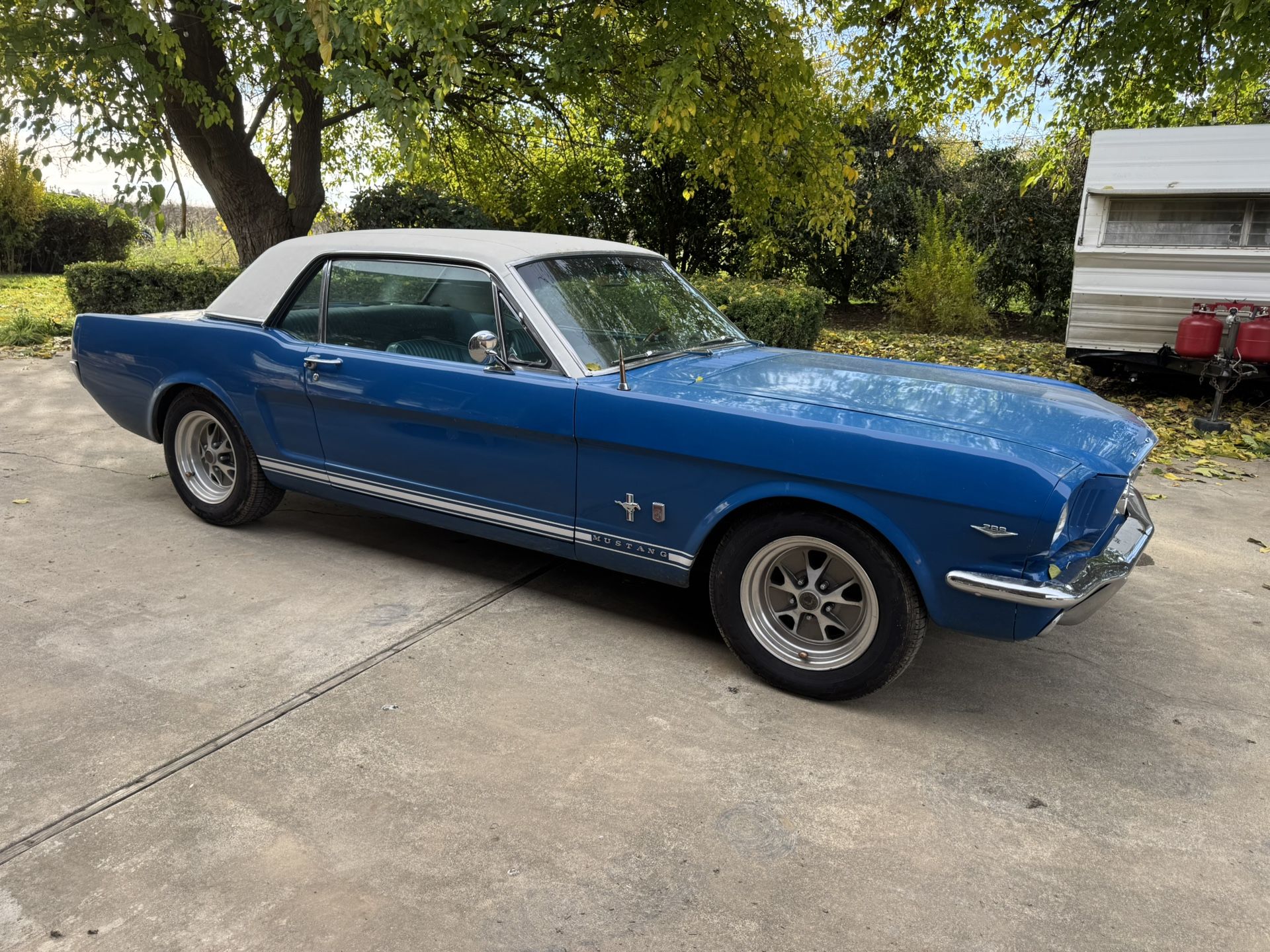 1966 Ford Mustang