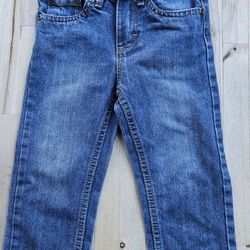 2T, Lee, Straight Leg, Denim Pants

