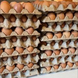 Huevos De Rancho