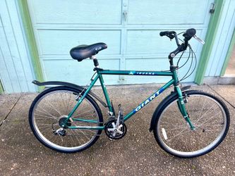 Gaint bike 🚲