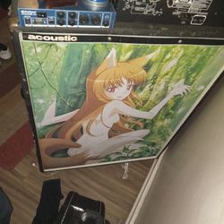 3' x 2 1/2 Anime, custom acoustic bass amp.