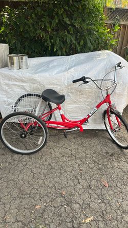 Adult tricycle bike