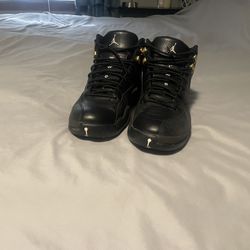 Jordan 12 The Master