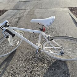 SOLE BICYCLES (Limited Edition)The Single Speed / Fixed Gear Lightweight Bike