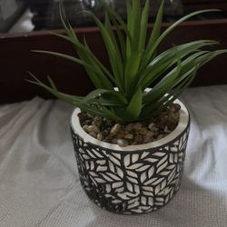 Flora Bunda 