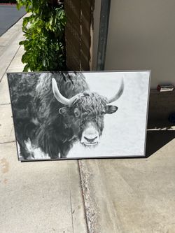 Wall Photo
