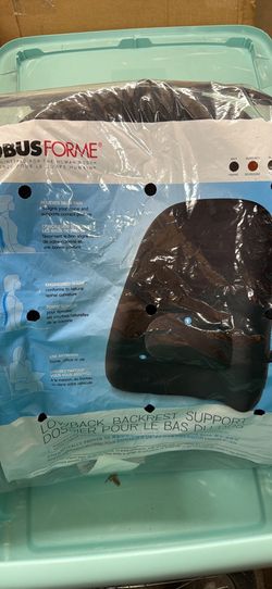 Lower back support cushion