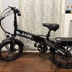 Electric Bike