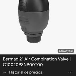 Bernard 2” Air combination valve