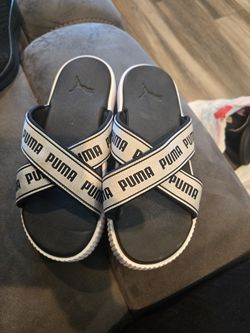 Pumas Slides 